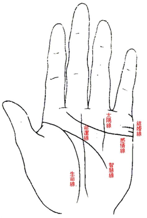 生命線斷開平行|【命理】《手相學》掌紋解析：掌紋代表什麼意思？生。